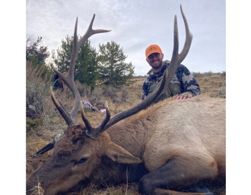 Sns Wyoming Wilderness Elk 2025 9